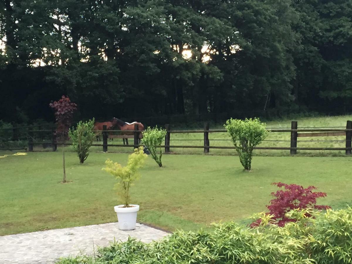 Domaine Des Bruyeres Bed & Breakfast Sains-en-Amienois ภายนอก รูปภาพ